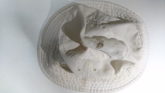 懐かしき思い出の富士登山、世界文化遺産登録前に一緒に登った相棒的存在 懐かしき思い出の富士登山、世界文化遺産登録前に一緒に登った相棒的存在