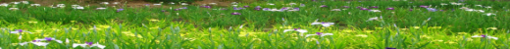 Banner09_5 Banner09_5